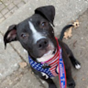 Meet your Posher, Haley